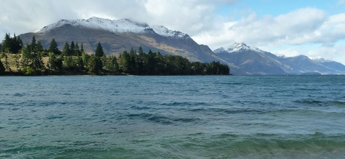 green trees near body of water during daytime