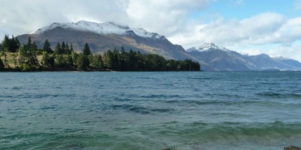 green trees near body of water during daytime