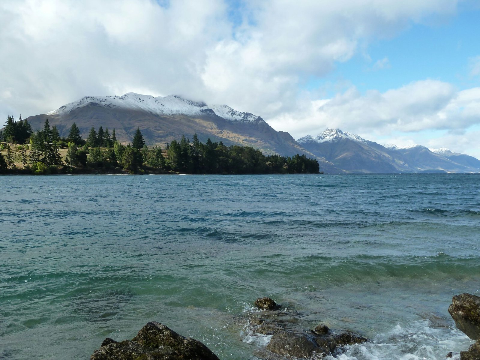 green trees near body of water during daytime